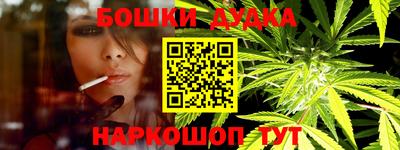 шишки Новодвинск