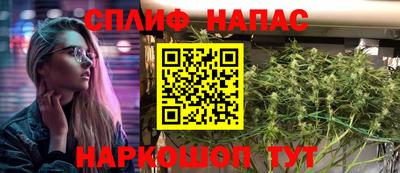 шишки Новодвинск