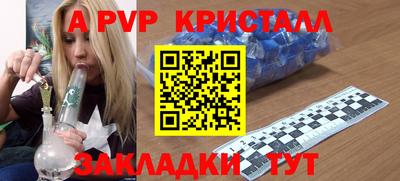 шишки Новодвинск