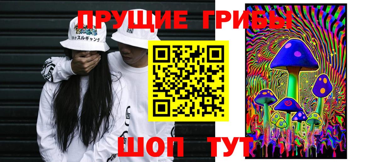 Галлюциногенные грибы GOLDEN TEACHER Сосновоборск